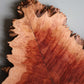 Red Mallee Board