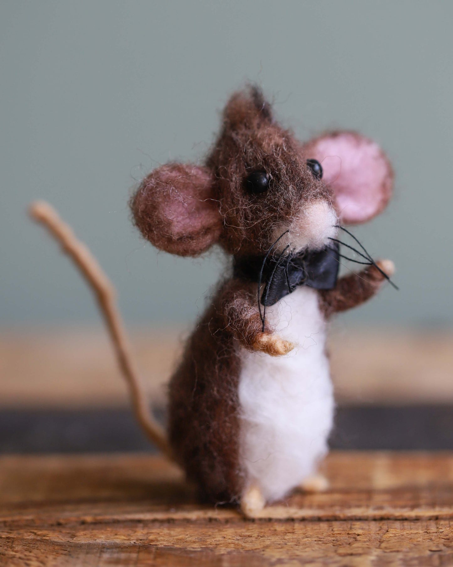 Max Mouse
