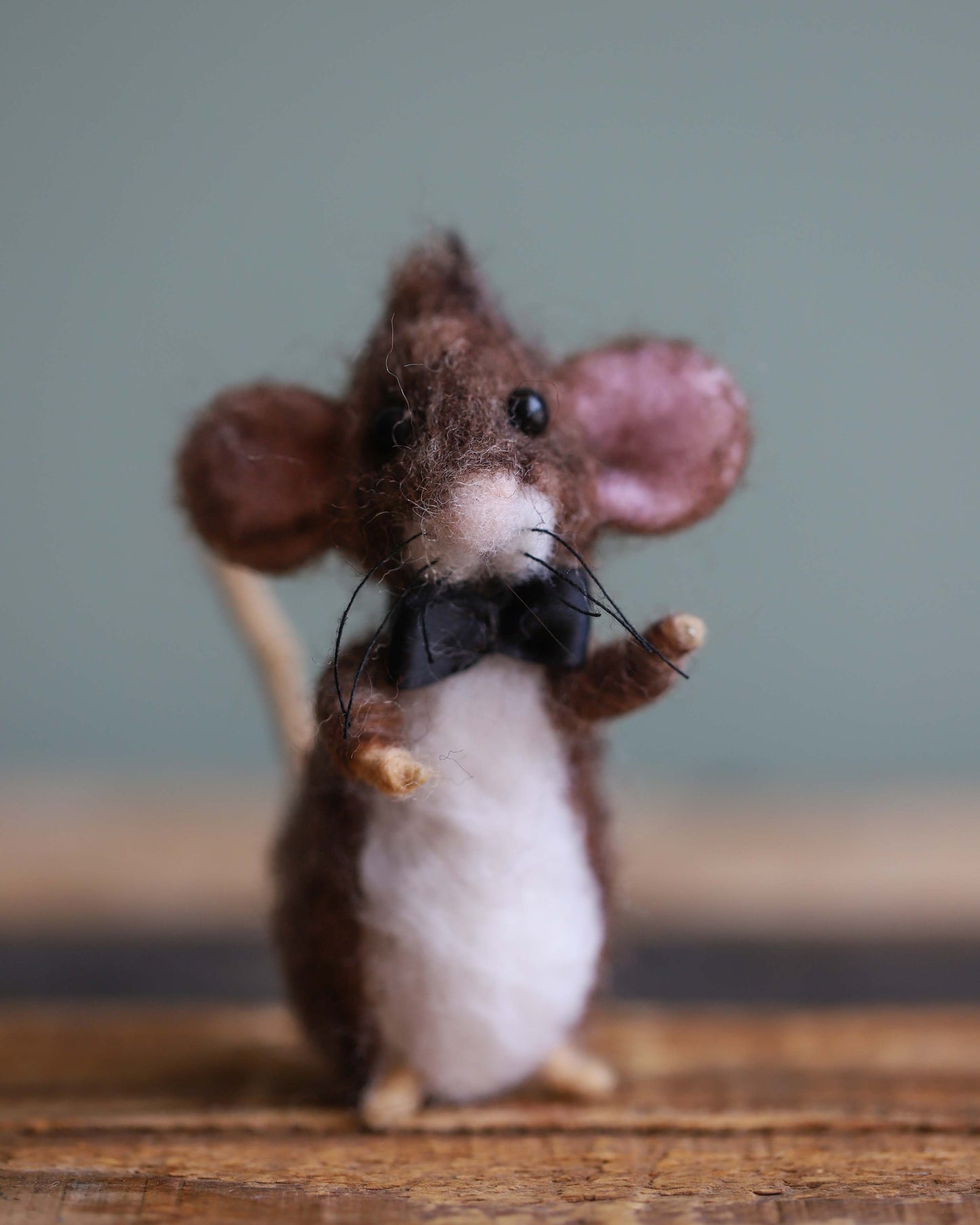 Max Mouse