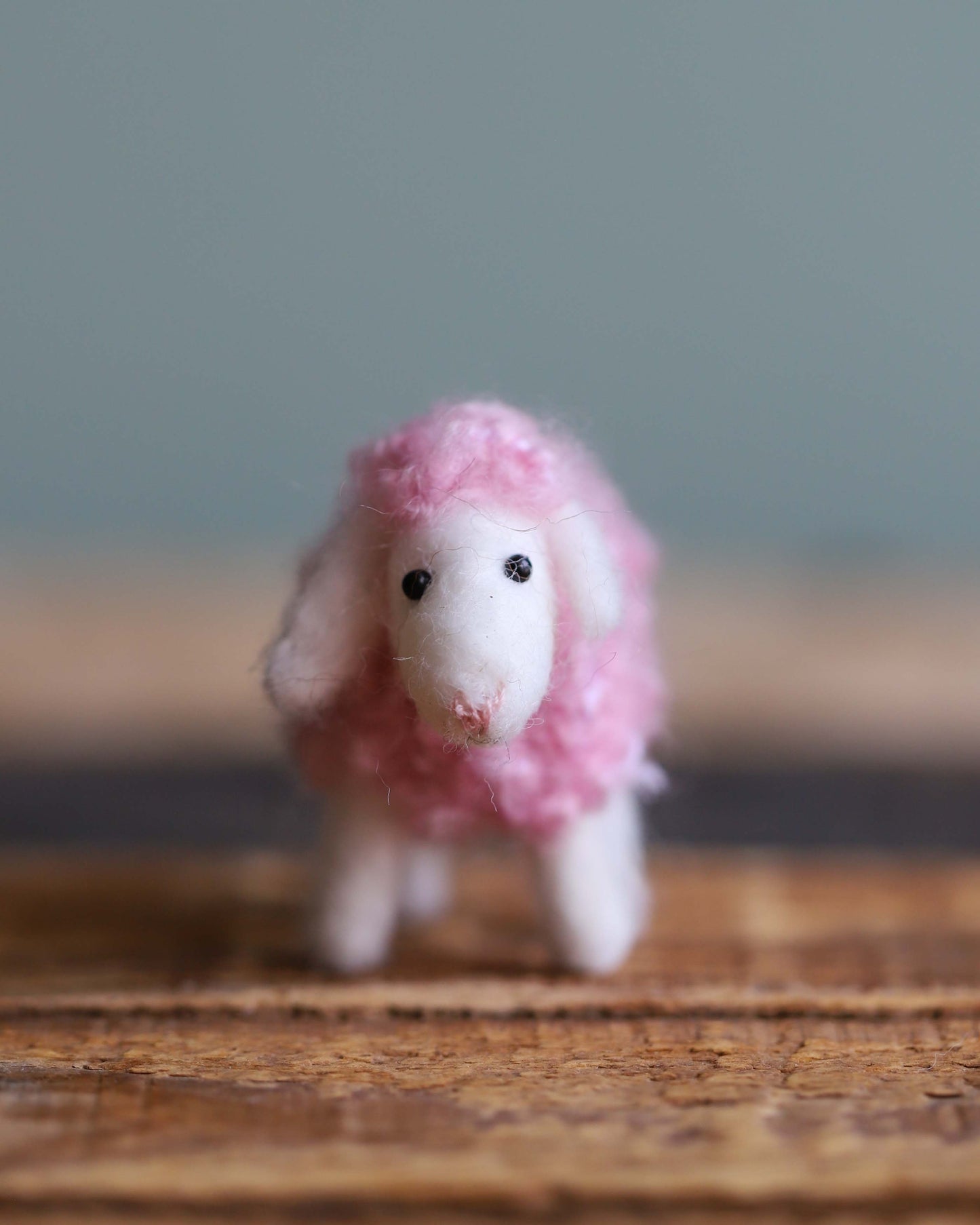 Laila Lamb