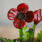 Glass Poppy Sculpture