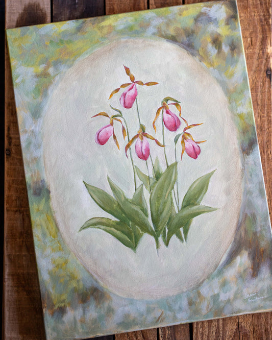 Portrait of a Pink Lady’s Slipper