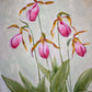 Portrait of a Pink Lady’s Slipper