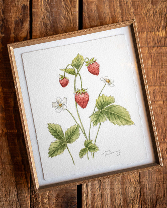 Strawberry Botanical Painting