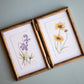 Violet & Tickseed Painting
