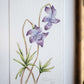 Violet & Tickseed Painting