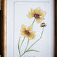 Violet & Tickseed Painting