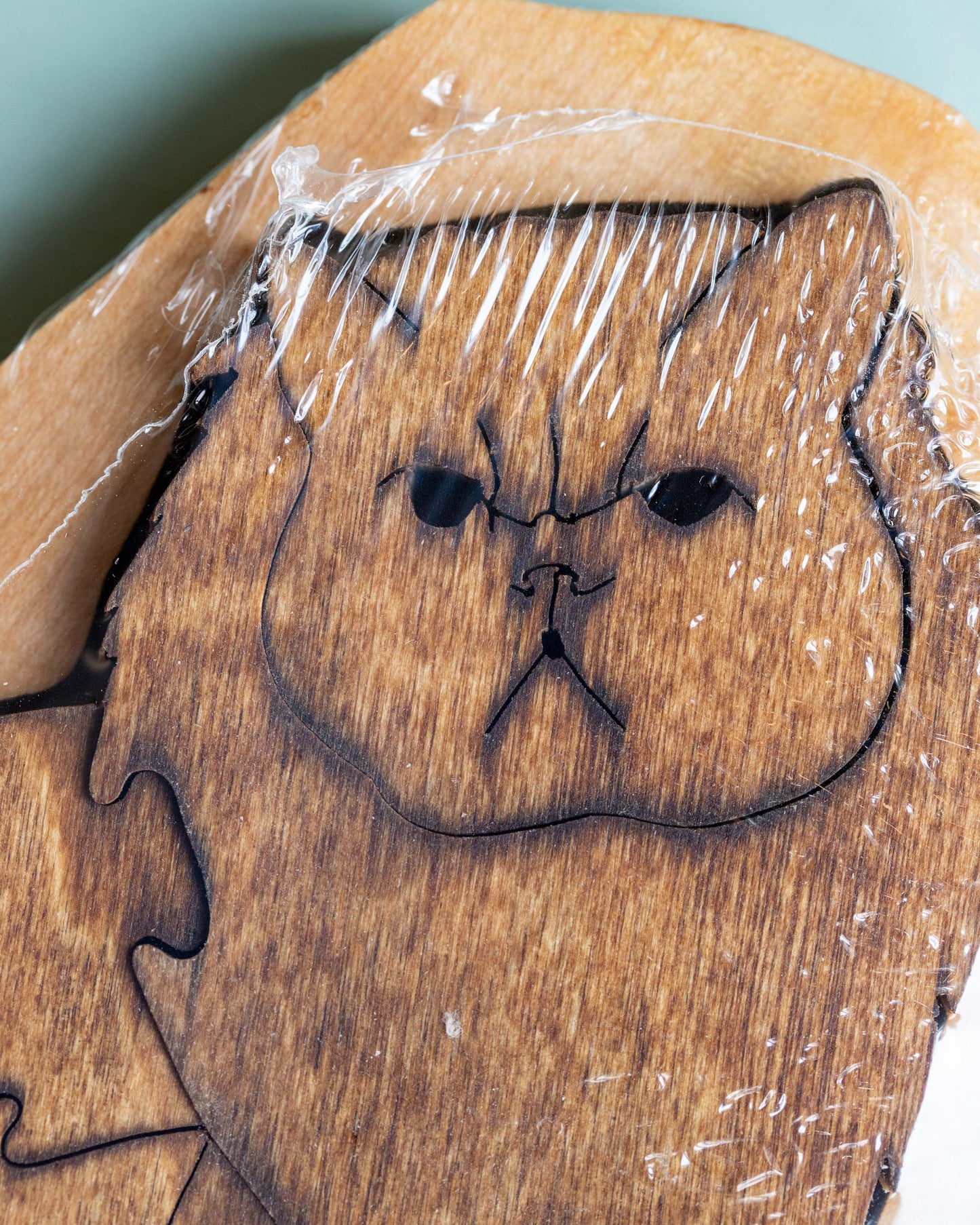 Persian Cat Puzzle