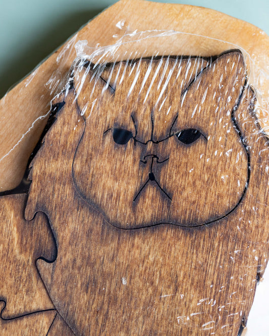 Persian Cat Puzzle