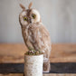 Needle Felted Long Eared Owl