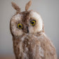 Needle Felted Long Eared Owl