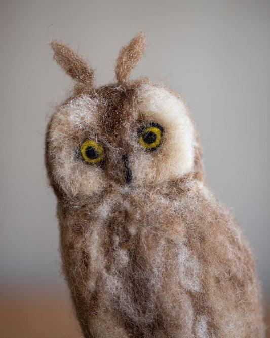 Needle Felted Long Eared Owl