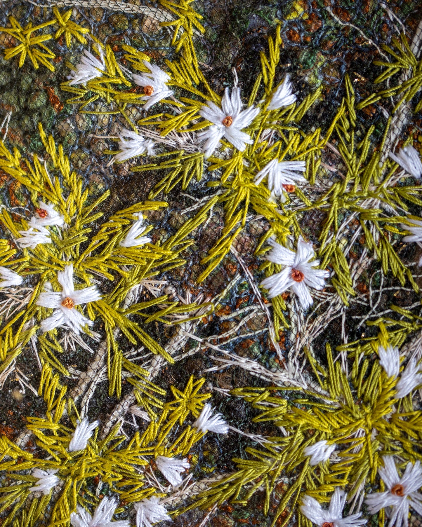 Biocrust No. 30