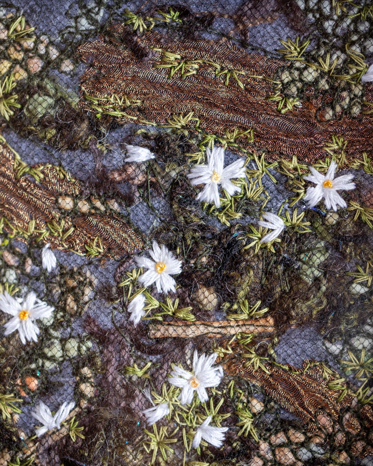Biocrust No. 25