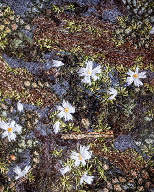 Biocrust No. 25