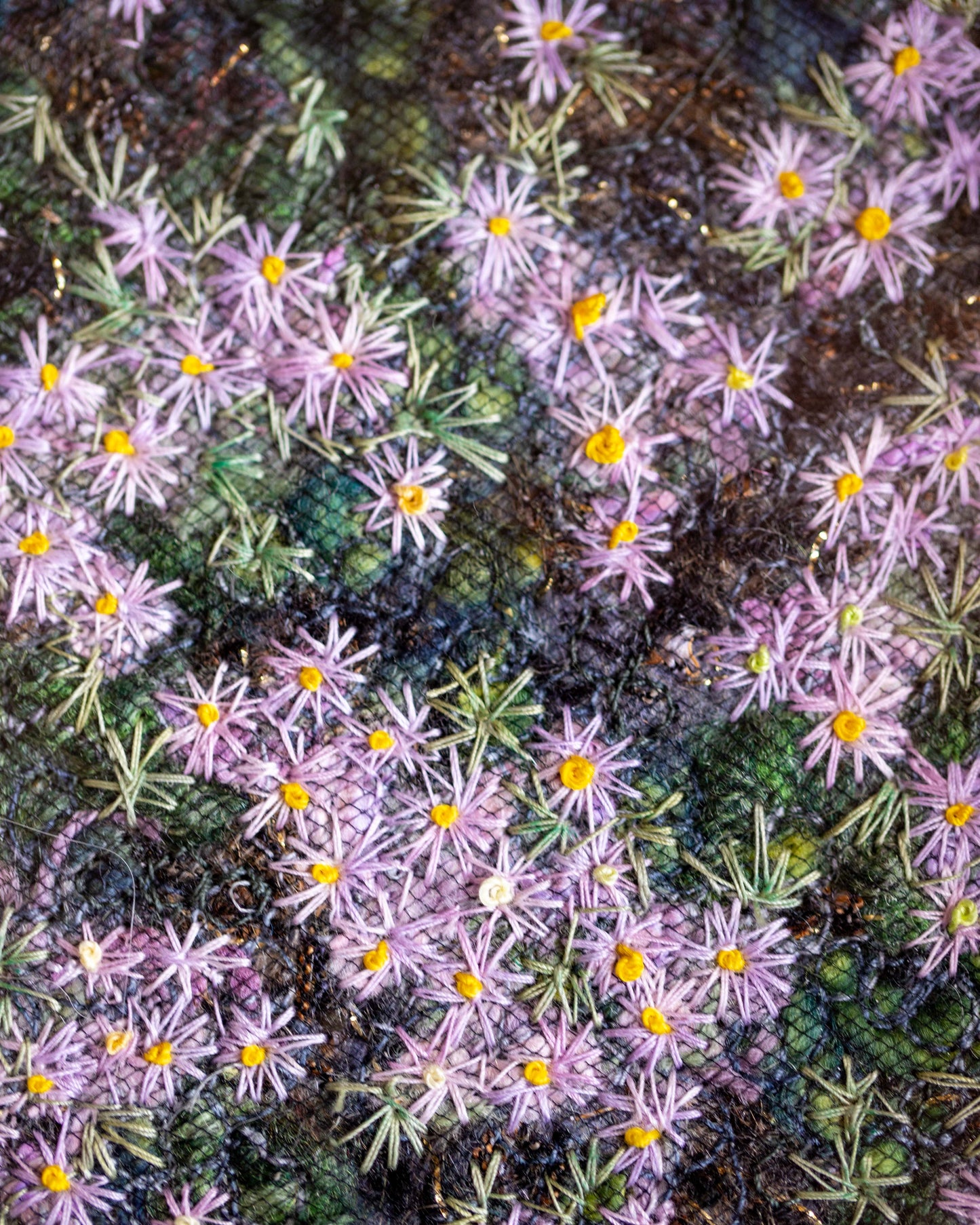 Biocrust No. 26