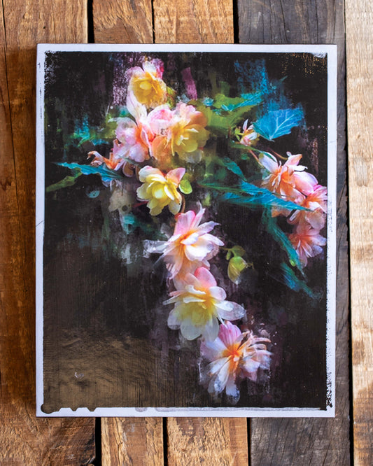 Begonia Art Board