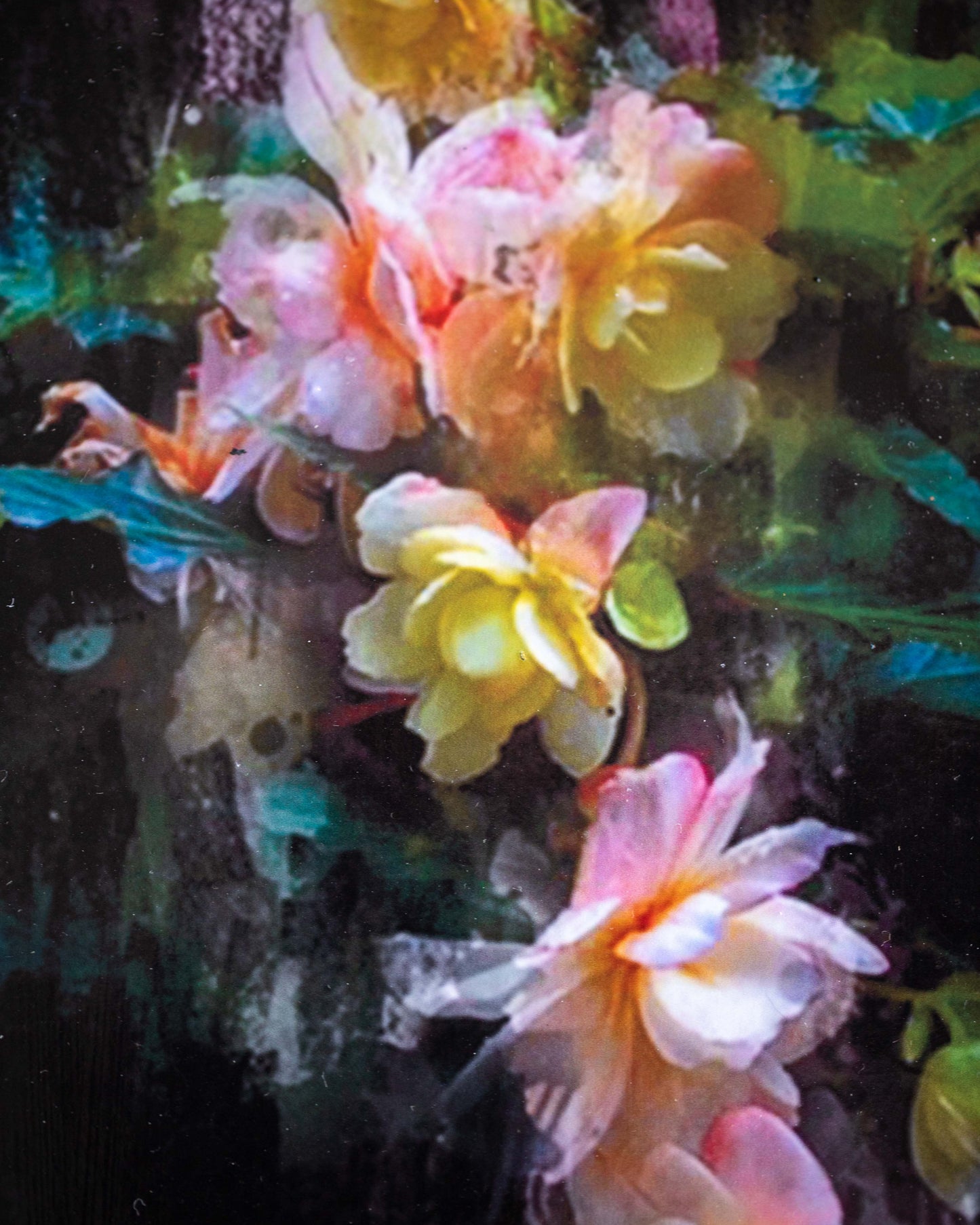 Begonia Art Board