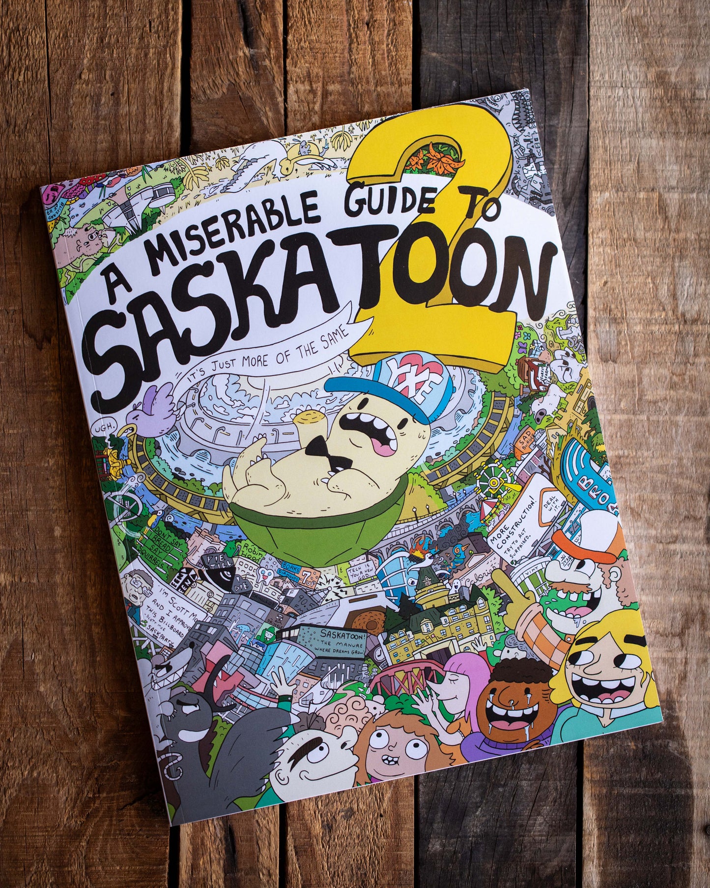 A  Miserable Guide to Saskatoon Book