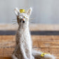 Cazzy Cat