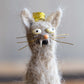 Cazzy Cat