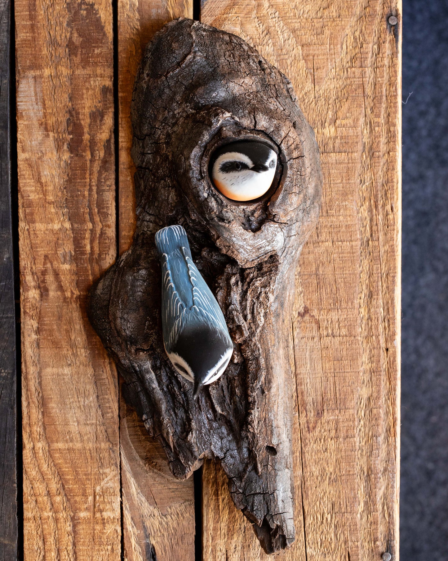 Double Nuthatch on Bark