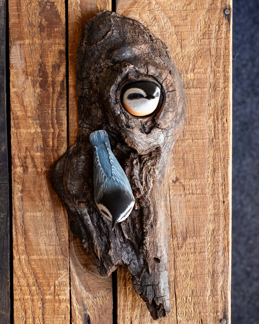 Double Nuthatch on Bark