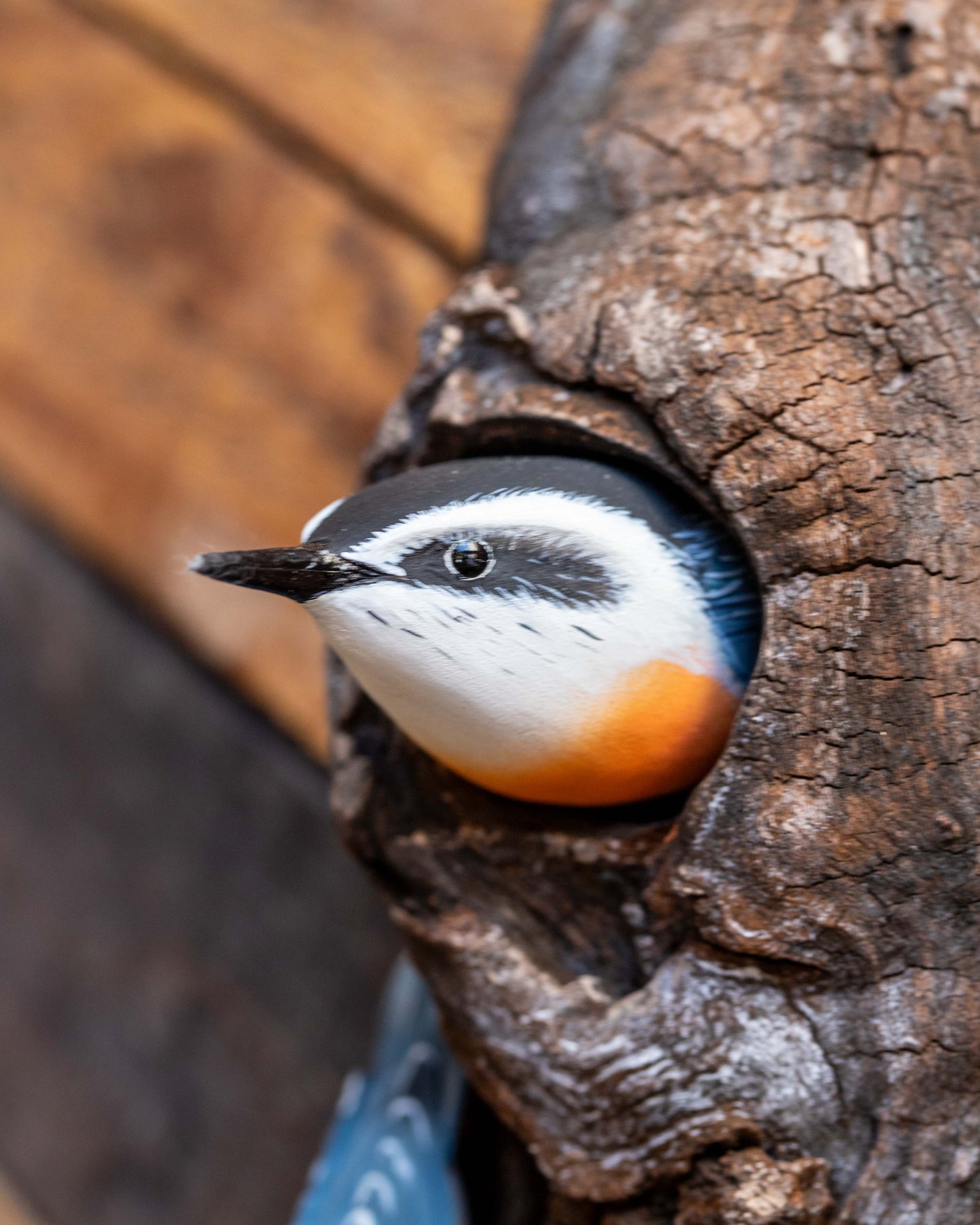 Double Nuthatch on Bark