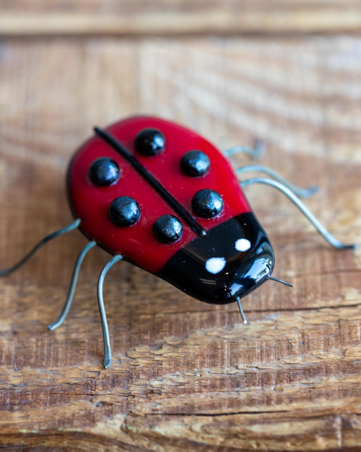 Red Lady Bug
