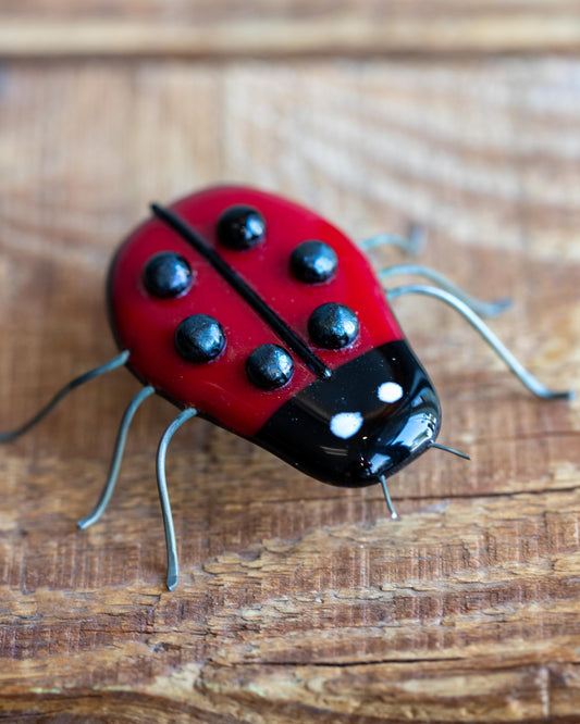Red Lady Bug