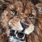 Felted Lion Picture
